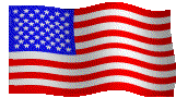 The American Flag